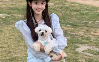 最新更新的155.fun，内容和我的想法完全不符？