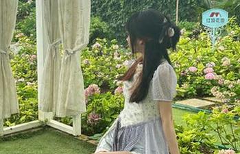 你相信吗？最新51cgfun里爆料了粉丝跟风的奇怪潮流！