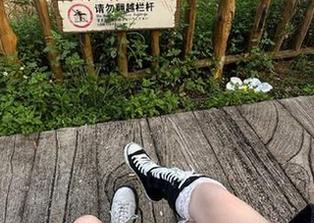 永久吃瓜不腻，5吃瓜官网让你享受每一口惊喜！