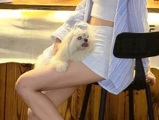 “全网吃瓜”的链接，真的是C位出道，点一下试试吧！