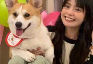 吃瓜91：这种黑料网的视频我绝对刷到停不下来的节奏！