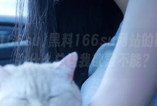 黑料166su网站的网页版，为什么总让我欲罢不能？