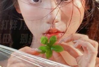黑料不打烊tttzzz在线：进入瓜田，别担心，会有奇妙发现！