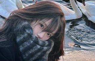 资源狂欢不停歇，黑料网的更新让人怀疑这是个永不关闭的店！