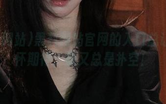 黑料网站官网的入口总让我满怀期待，却又总是扑空！
